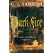 Dark Fire (Shardlake)