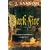 Dark Fire (Shardlake)