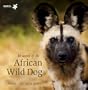 In Search of the African Wild Dog