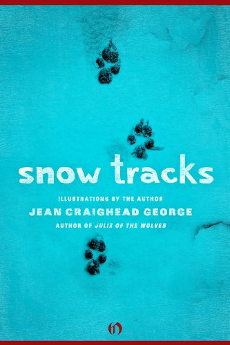 Snow Tracks