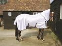 GEE TAC ,HORSE FLY RUG, SHEET SWEETITCH,UV, COMBO, FLY MASK,*ALL SIZES*