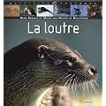 La loutre