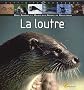 La loutre