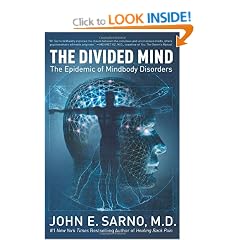 The Divided Mind: The Epidemic of Mindbody Disorders