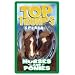 Top Trumps Horses & Ponies Card Game