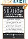 Meeting the Shadow: The Hidden Power of the Dark Side of Human Nature