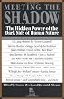 Meeting the Shadow