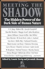 Meeting the Shadow