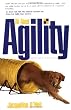 All About Agility