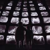 Beneath the Mushroom - Single [Explicit]