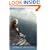 Surrender Bay (Nantucket Love Story Series #1)