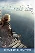 Surrender Bay (Nantucket Love Story Series #1)