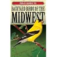 Field Guide to Backyard Birds of the Midwest (Field-Guide to Backyard Birds) by Brian E Small