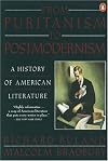 From Puritanism to Postmodernism: A History of American Literature