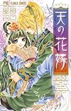 天の花嫁 (少コミフラワーコミックス)
