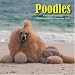 Poodles 2009 Wall Calendar