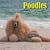 Poodles 2009 Wall Calendar