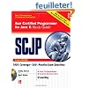 SCJP Sun Certified Programmer for Java 6: Exam 310-065