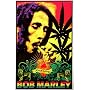 Bob Marley One Love 23X35 Blacklight Poster