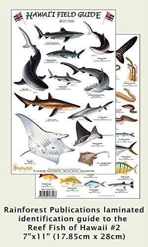 Hawaii Reef Fish #2 Identification Guide (Laminated Single Sheet Field Guide (Hawaii Field Guides) (v. 1) (English and Spanish Edition)