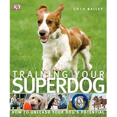 Training Your Superdog