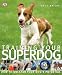 Training Your Superdog