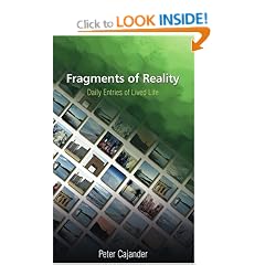 Fragments of Reality: Daily Entries of Lived Life