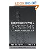 Electric Power Systems: A Conceptual Introduction (Wiley Survival Guides in Engineering and Science)
