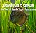 Beginner Guide To Aquariums: A Beginner