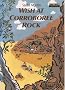 Wish at Corroboree Rock (New Wave Readers)