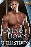 Going Down (Holding out for a Hero, #1)