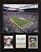 NFL Reliant Stadium Plaque