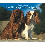 Cavalier King Charles Spaniels, For the Love of 2008 Deluxe Wall Calendar book cover