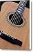 Custom Made Guitar Canvas Print / Canvas Art - Artist Garry Gay