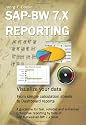 SAP BW 7.x Reporting - Visualize your data: Netweaver BW 7.x Reporting, visualize your data and create performance Dashboards and Analysis