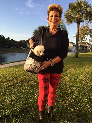 International Pet Carrier (Multi- Black/White, International Cities Collage)