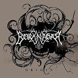 Origin by Borknagar