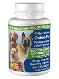 Osteo Pet Glucosamine Chondroitin for Dogs