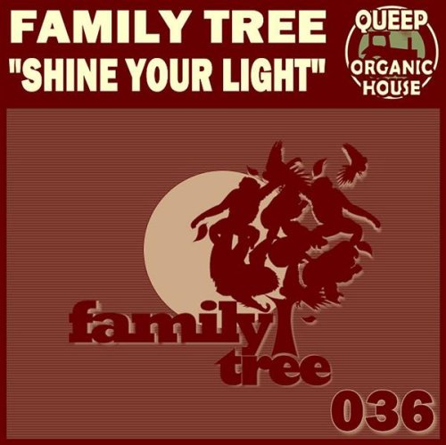 Shine Your Light (Parallel Sound Remix)