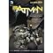 Batman: The New 52 - The Collected Editions