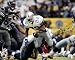 Emmitt Smith Autographed/Hand Signed Dallas Cowboys 16x20 Photo (Record Breaking Run)