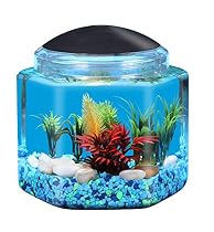 API Betta Kit Hex Fish Tank, 1 gallon
