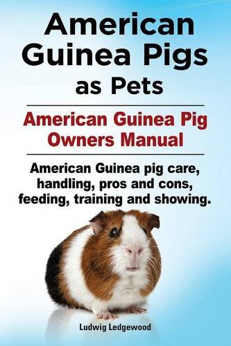 American Guinea Pigs as Pets. American Guinea Pig Owners Manual. American Guinea pig care, handling, pros and cons, feeding, training and showing.