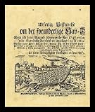 Christopher George Glasing (Detailed description of the strange marine organism) Black Wood-Mounted Art Poster Print - 13" X 19"