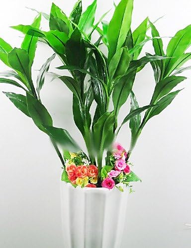 Dracaena sanderiana in Plastic Artificial Grass for Home Decoration (set of 2)