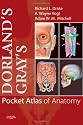 Dorland's/Gray's Pocket Atlas of Anatomy