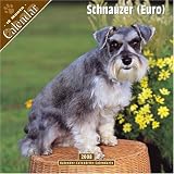 Schnauzer (Euro) 2008 Wall Calendar