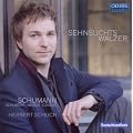 Sehnsuchtswalzer