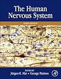 The human nervous system
