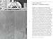 Brice Marden: Phaidon Focus